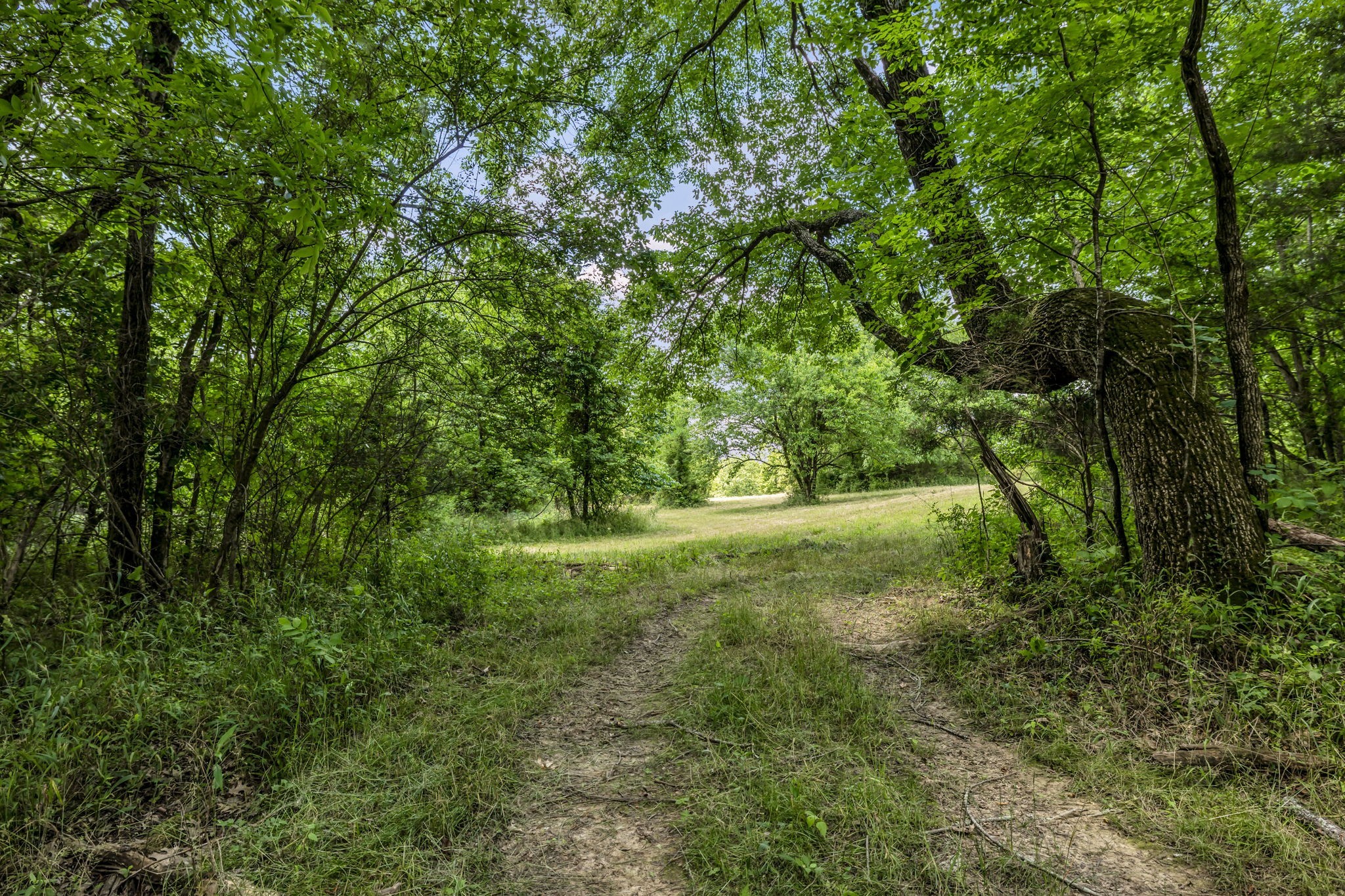 0 Lasata Drive Franklin TN 37067