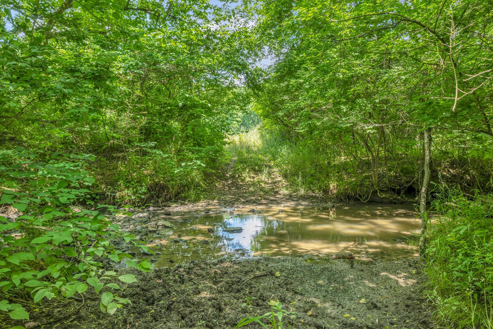 0 Lasata Drive Franklin TN 37067