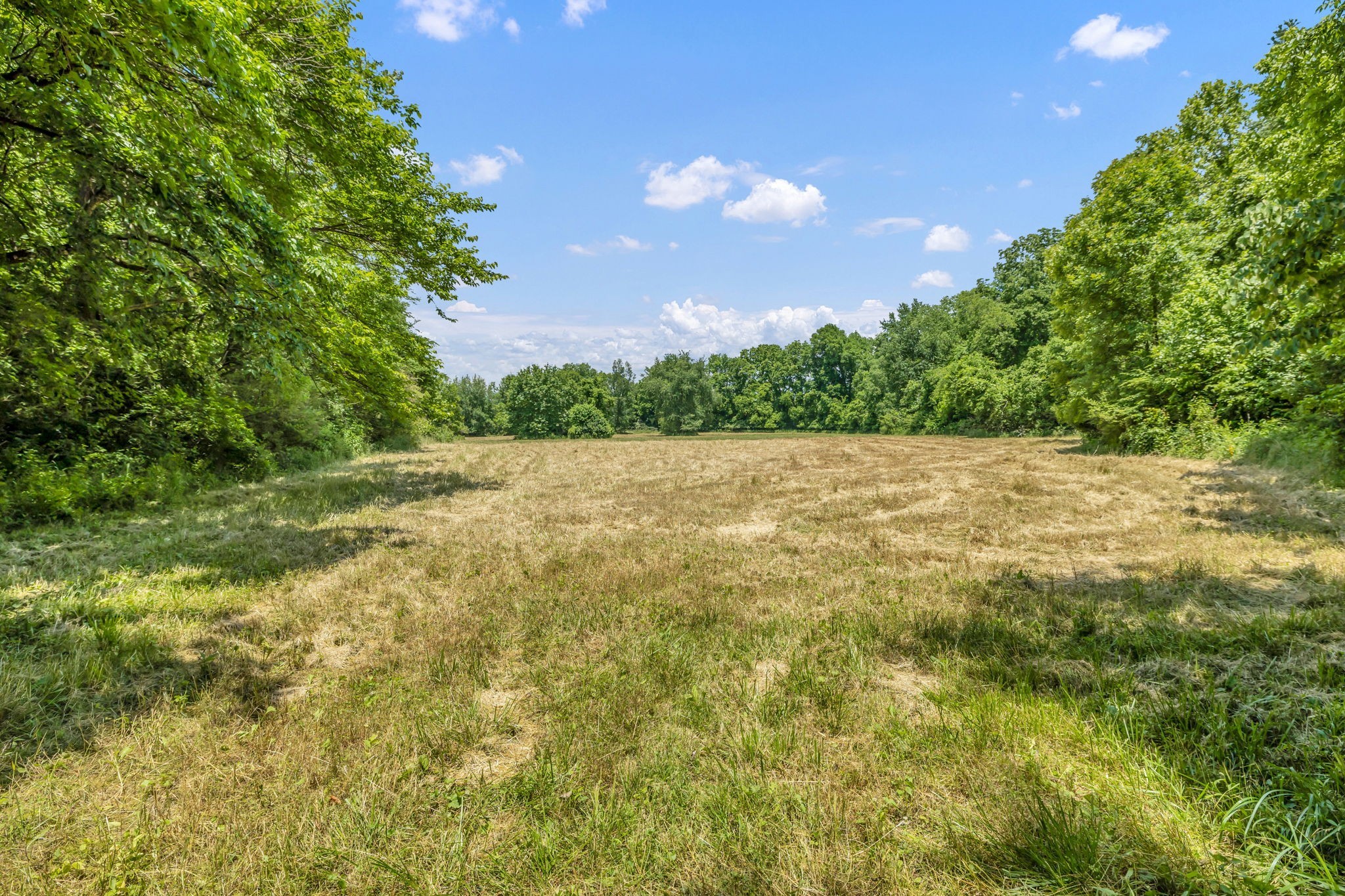 0 Lasata Drive Franklin TN 37067