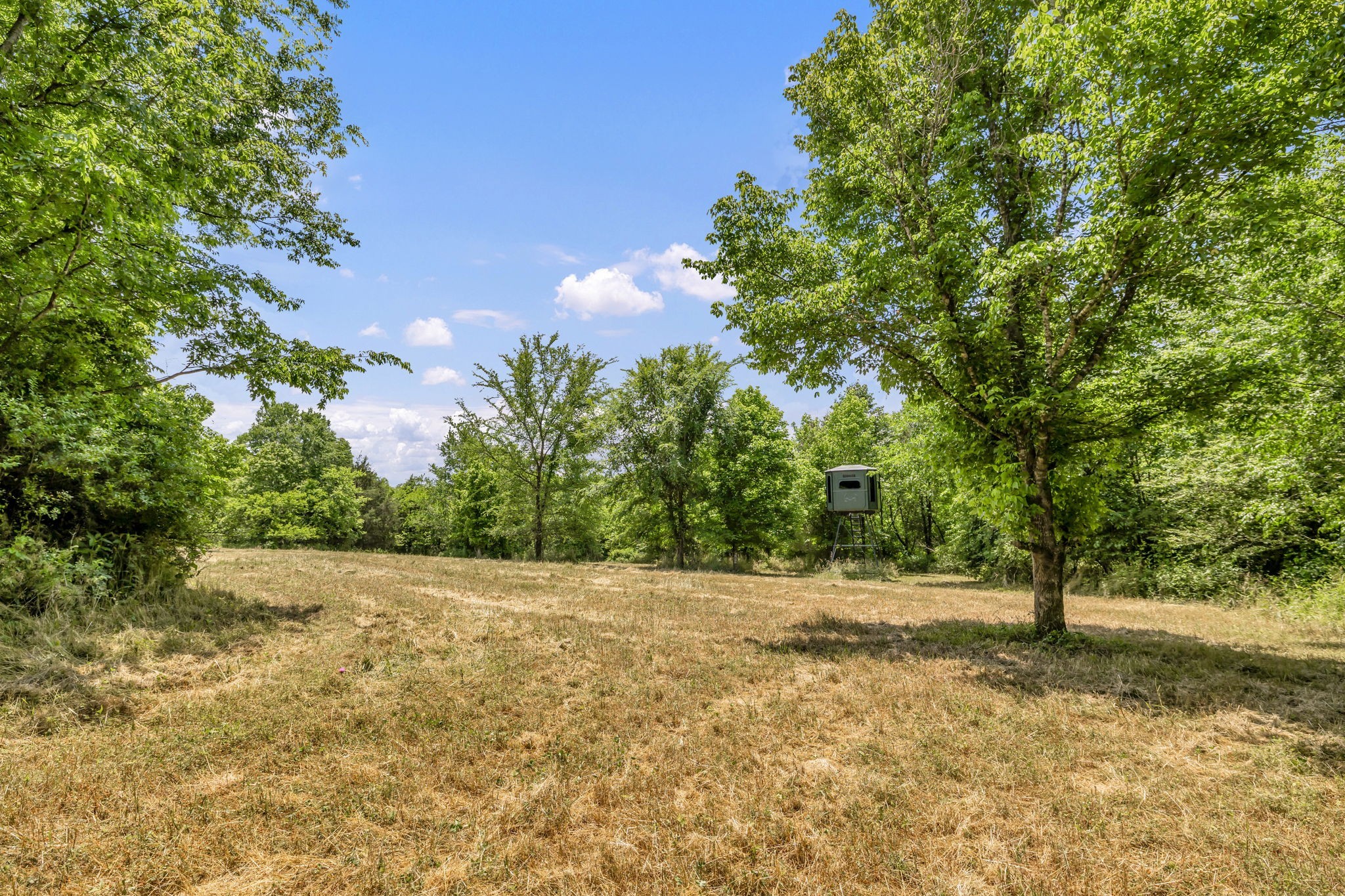 0 Lasata Drive Franklin TN 37067