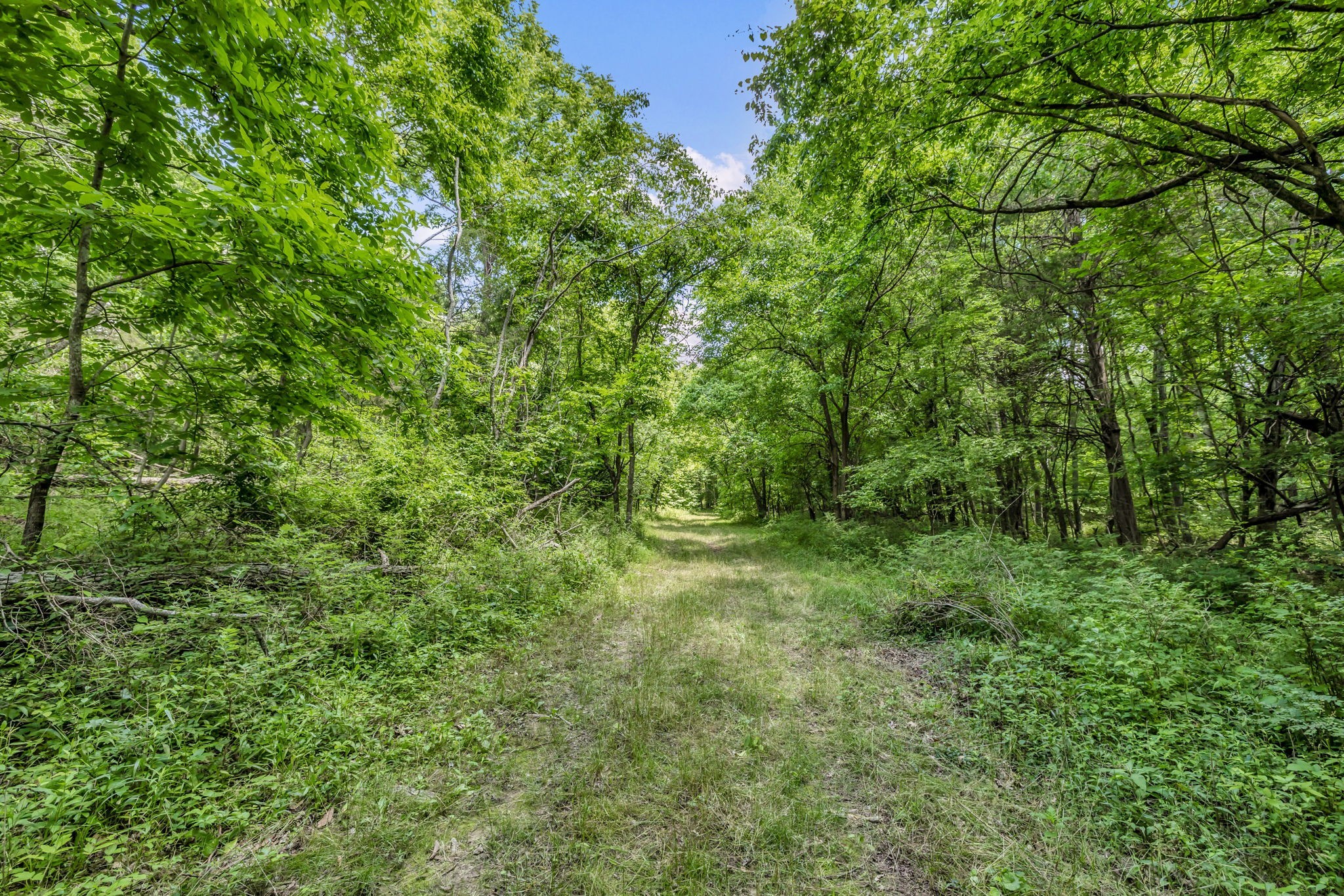 0 Lasata Drive Franklin TN 37067