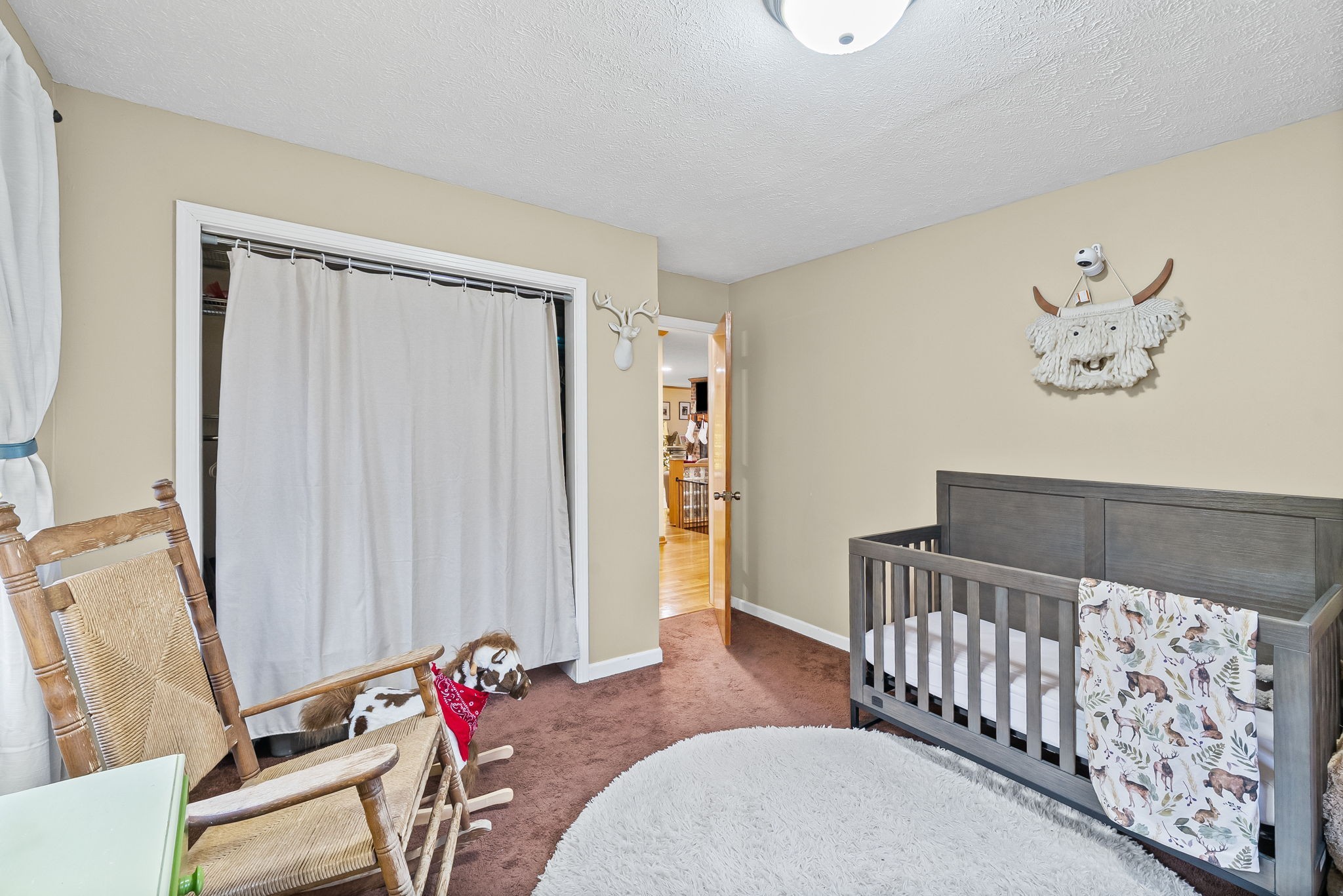 119 Jupiter Drive Ashland City TN 37015