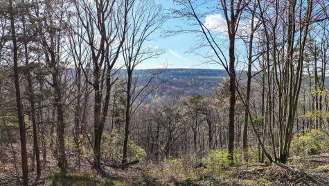 1350 Split Rail Way Guild TN 37340