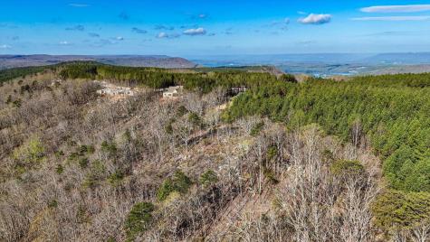 1350 Split Rail Way Guild TN 37340