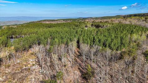 1350 Split Rail Way Guild TN 37340