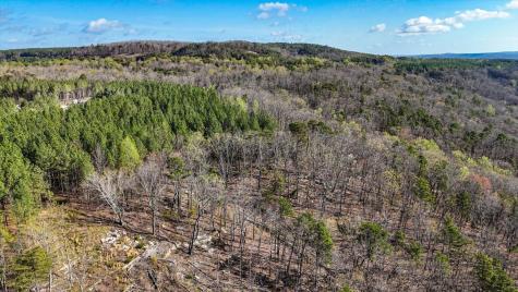 1350 Split Rail Way Guild TN 37340