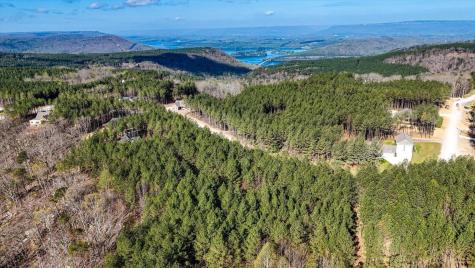 1350 Split Rail Way Guild TN 37340