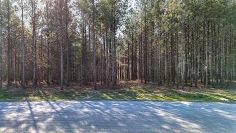 1350 Split Rail Way Guild TN 37340