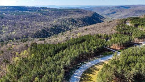 1350 Split Rail Way Guild TN 37340