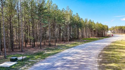 1350 Split Rail Way Guild TN 37340