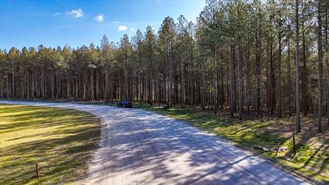 1350 Split Rail Way Guild TN 37340