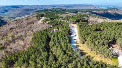 1350 Split Rail Way Guild TN 37340