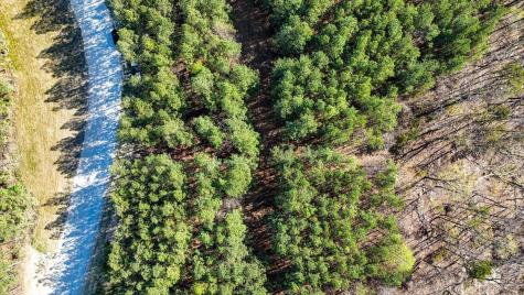 1350 Split Rail Way Guild TN 37340
