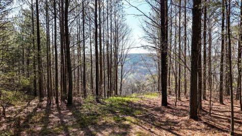 1350 Split Rail Way Guild TN 37340