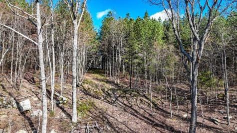 1350 Split Rail Way Guild TN 37340