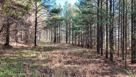 1350 Split Rail Way Guild TN 37340