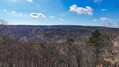 1350 Split Rail Way Guild TN 37340