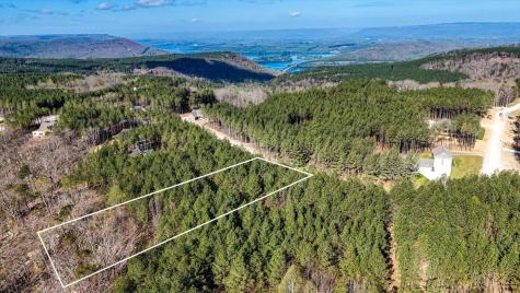1350 Split Rail Way Guild TN 37340
