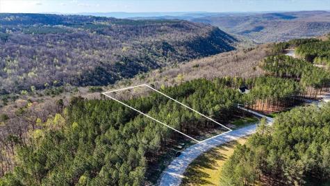 1350 Split Rail Way Guild TN 37340