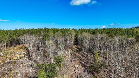 1350 Split Rail Way Guild TN 37340