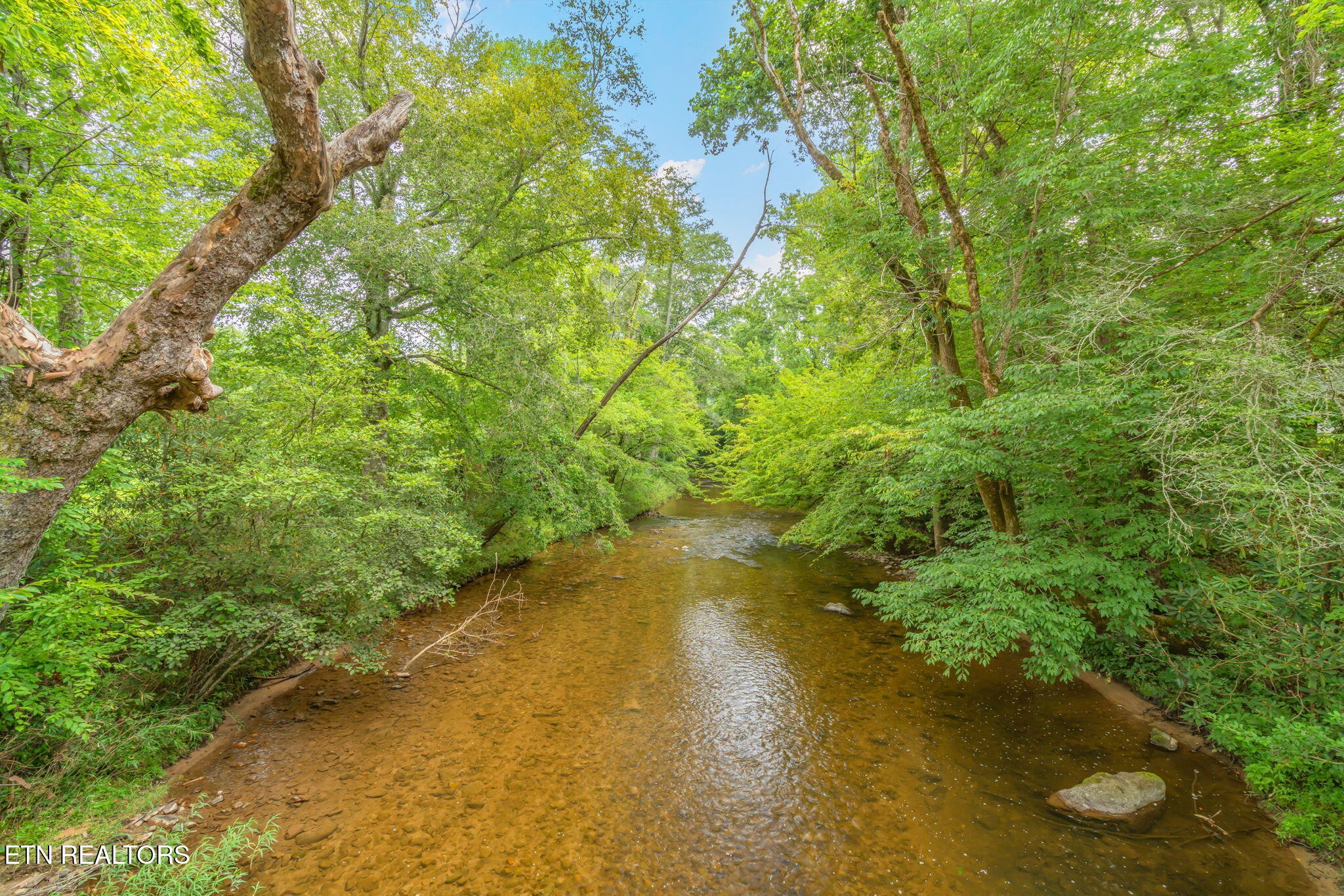 680 Kaylees Loop Del Rio TN 37727