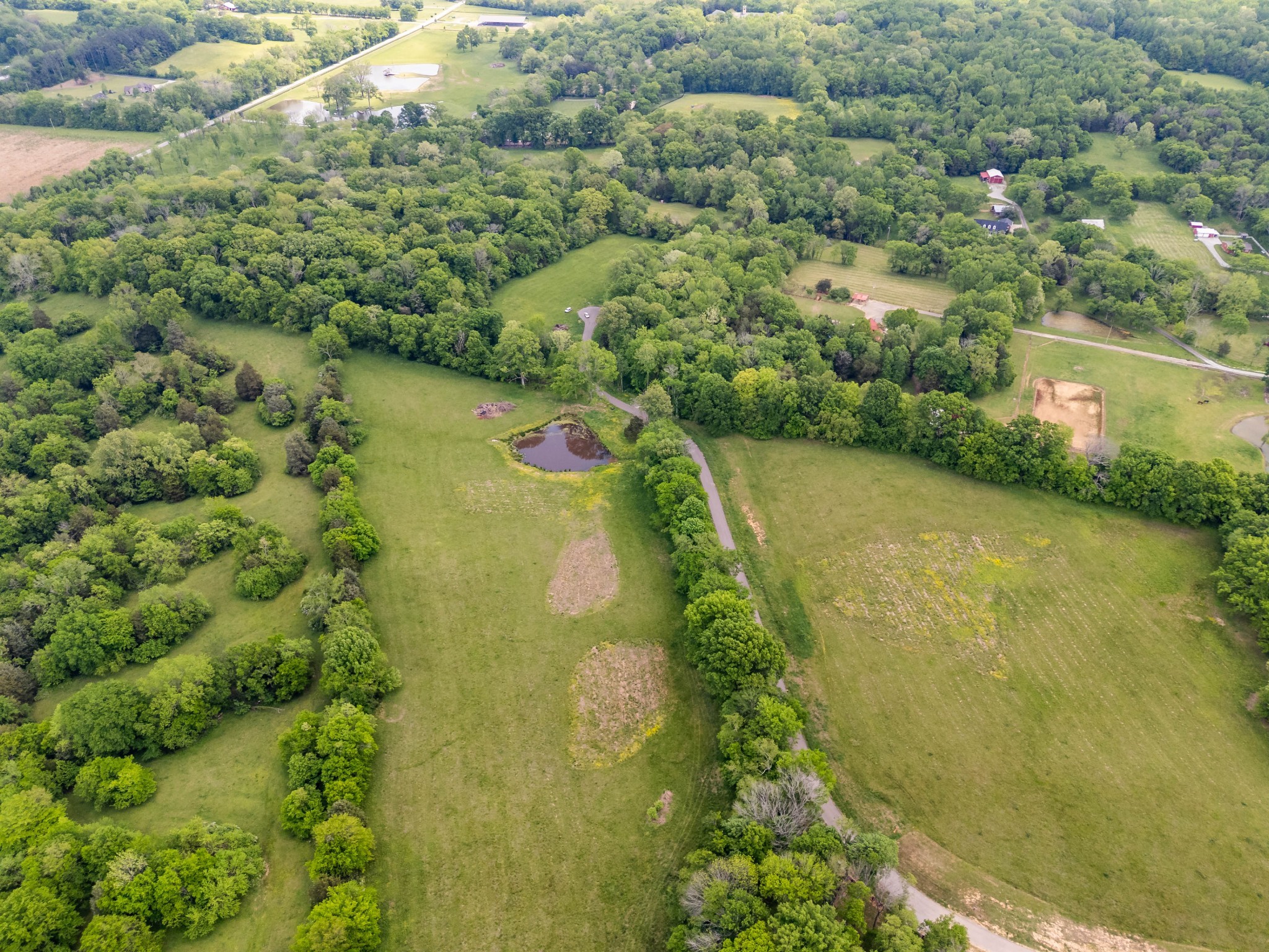 9023 Possum Trot Trail College Grove TN 37046