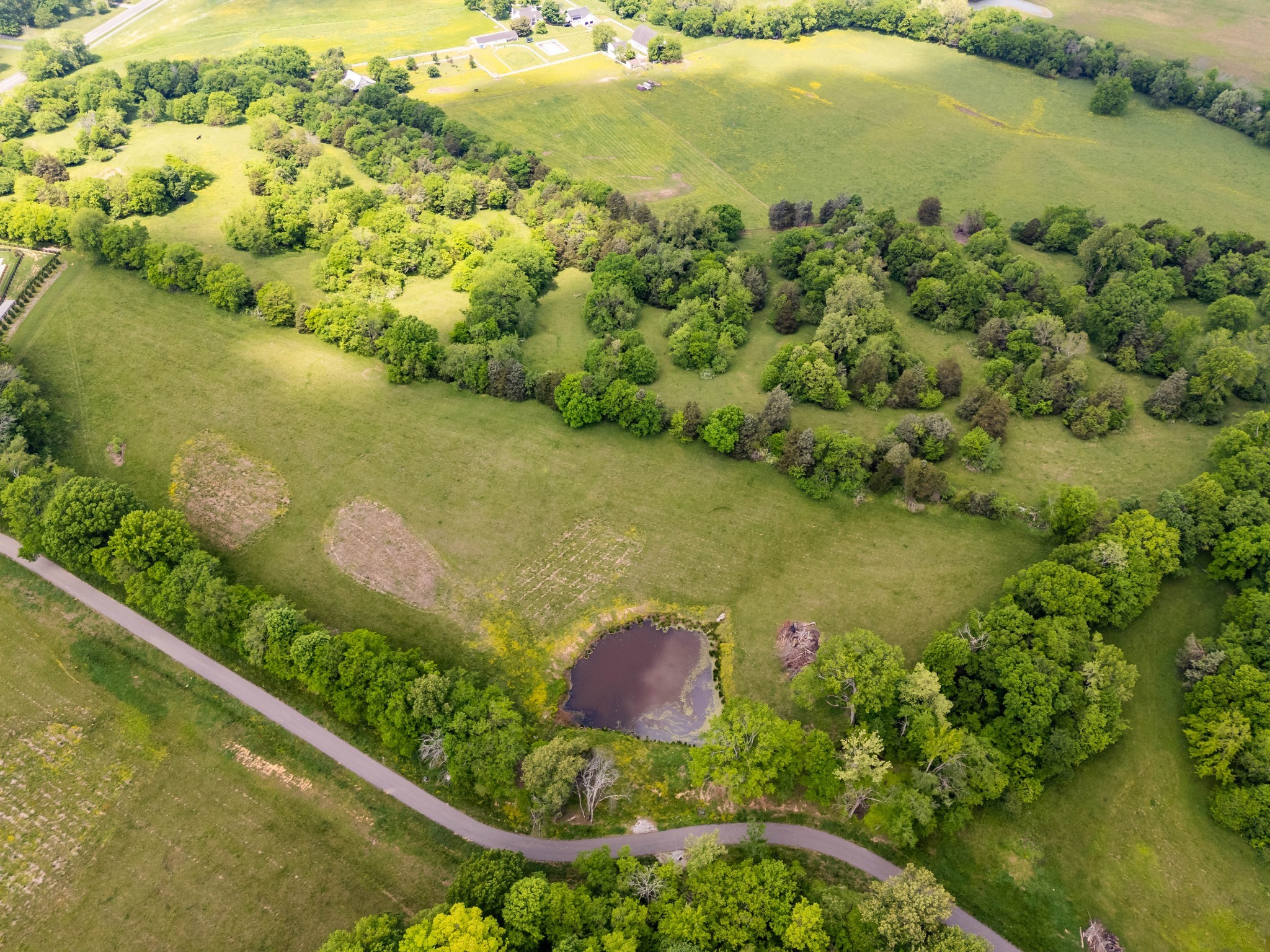 9023 Possum Trot Trail College Grove TN 37046