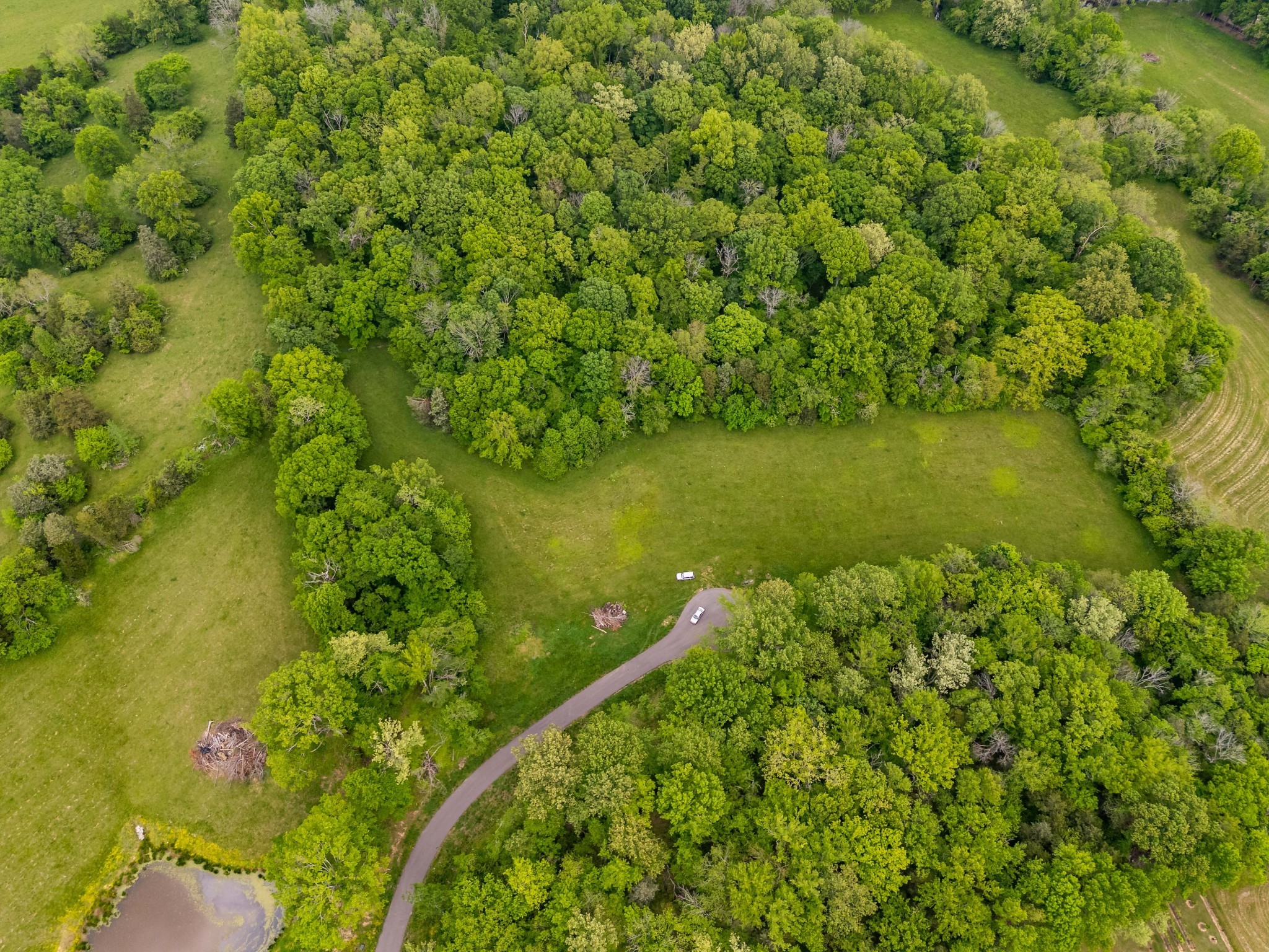 9023 Possum Trot Trail College Grove TN 37046