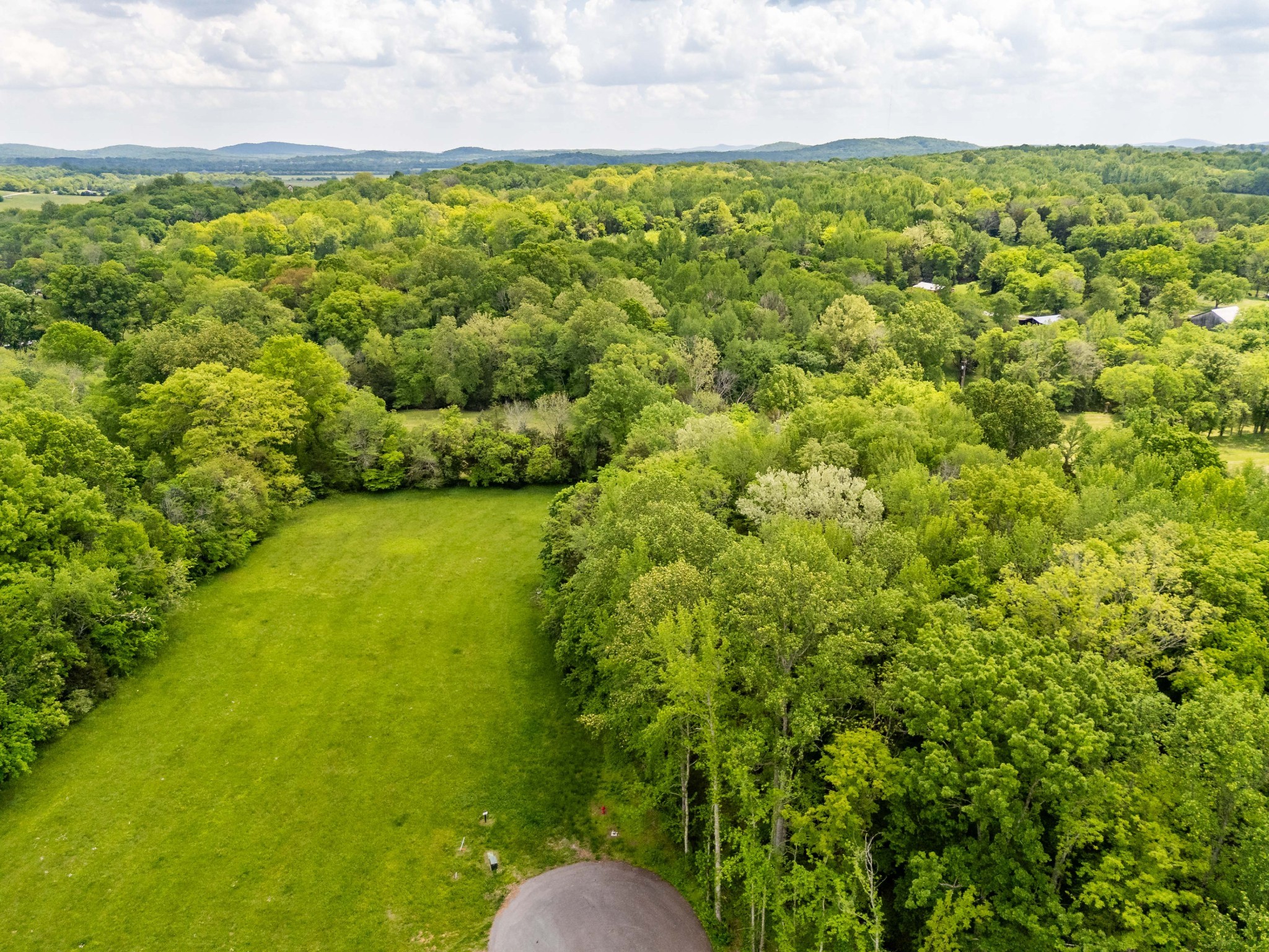 9023 Possum Trot Trail College Grove TN 37046