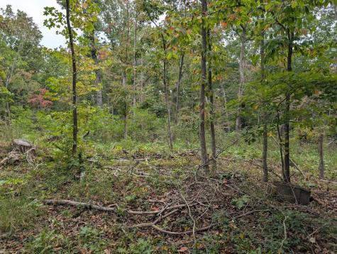 0 Deer Run Road Lot 146 Altamont TN 37301