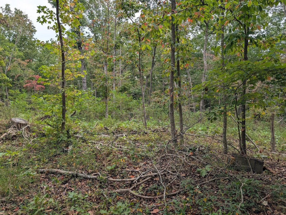 0 Deer Run Road Lot 146 Altamont TN 37301