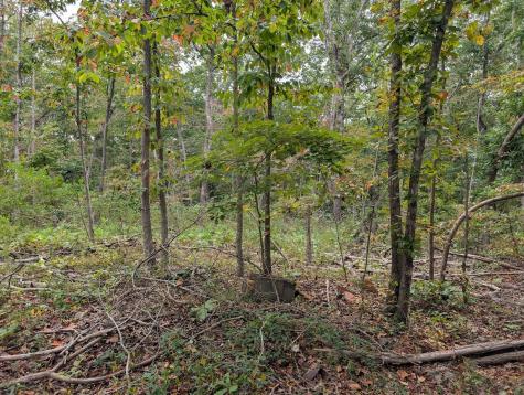 0 Deer Run Road Lot 146 Altamont TN 37301