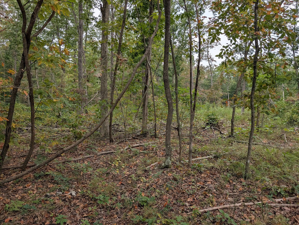 0 Deer Run Road Lot 146 Altamont TN 37301