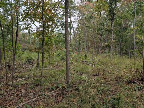 0 Deer Run Road Lot 146 Altamont TN 37301