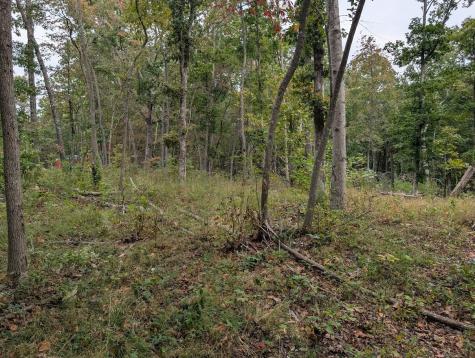 0 Deer Run Road Lot 146 Altamont TN 37301