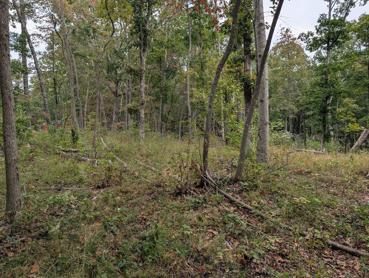 0 Deer Run Road Lot 146 Altamont TN 37301