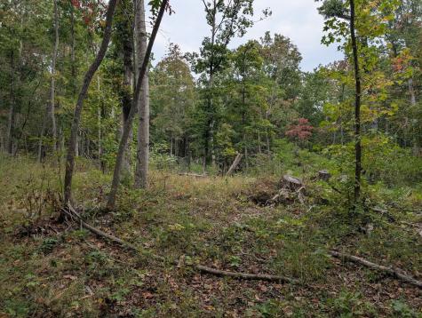 0 Deer Run Road Lot 146 Altamont TN 37301
