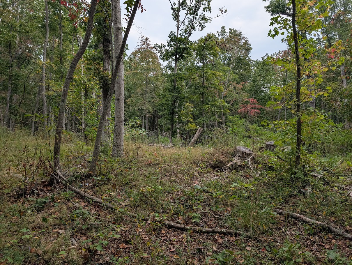 0 Deer Run Road Lot 146 Altamont TN 37301