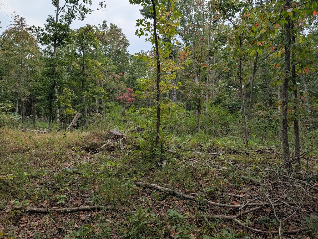 0 Deer Run Road Lot 146 Altamont TN 37301