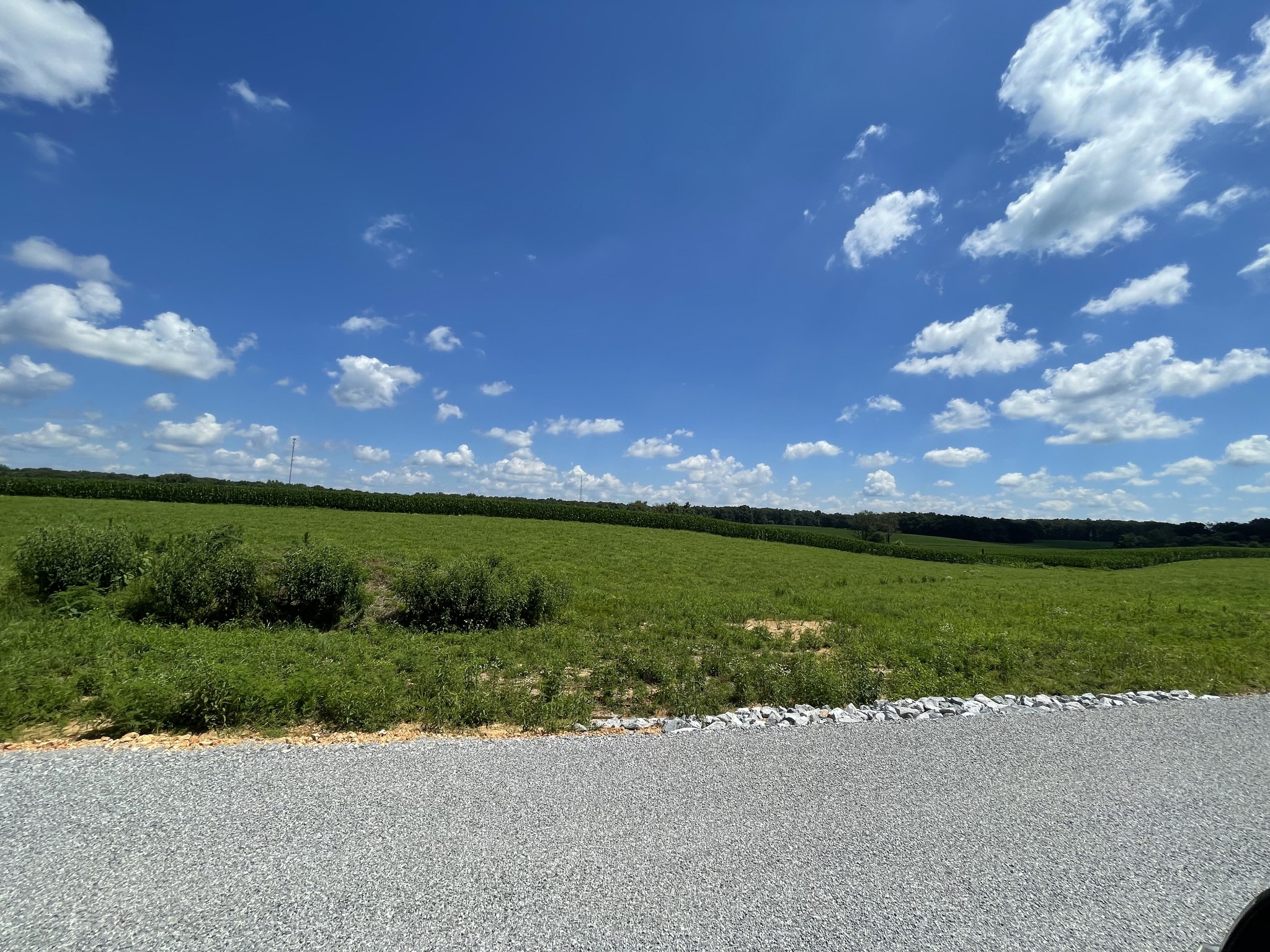 0 Hidden Hills Lane Summertown TN 38483