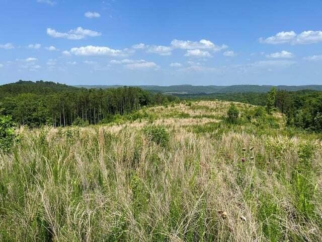 0 County Road Athens TN 37303