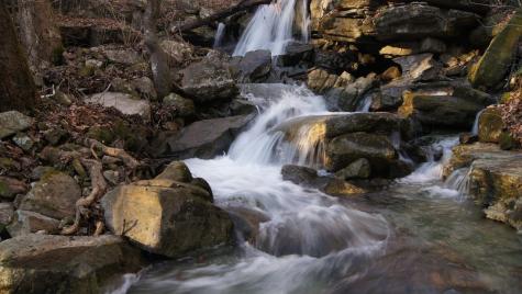 0 Crockett Loop Jasper TN 37347