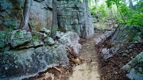 0 Crockett Loop Jasper TN 37347