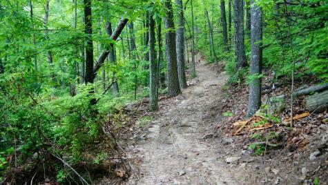 0 Crockett Loop Jasper TN 37347