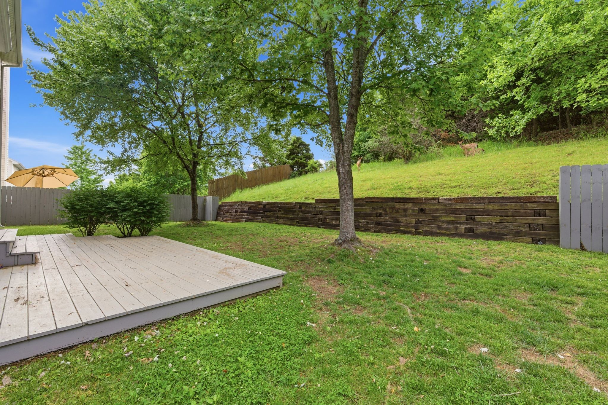 5636 Chestnutwood Trail Hermitage TN 37076