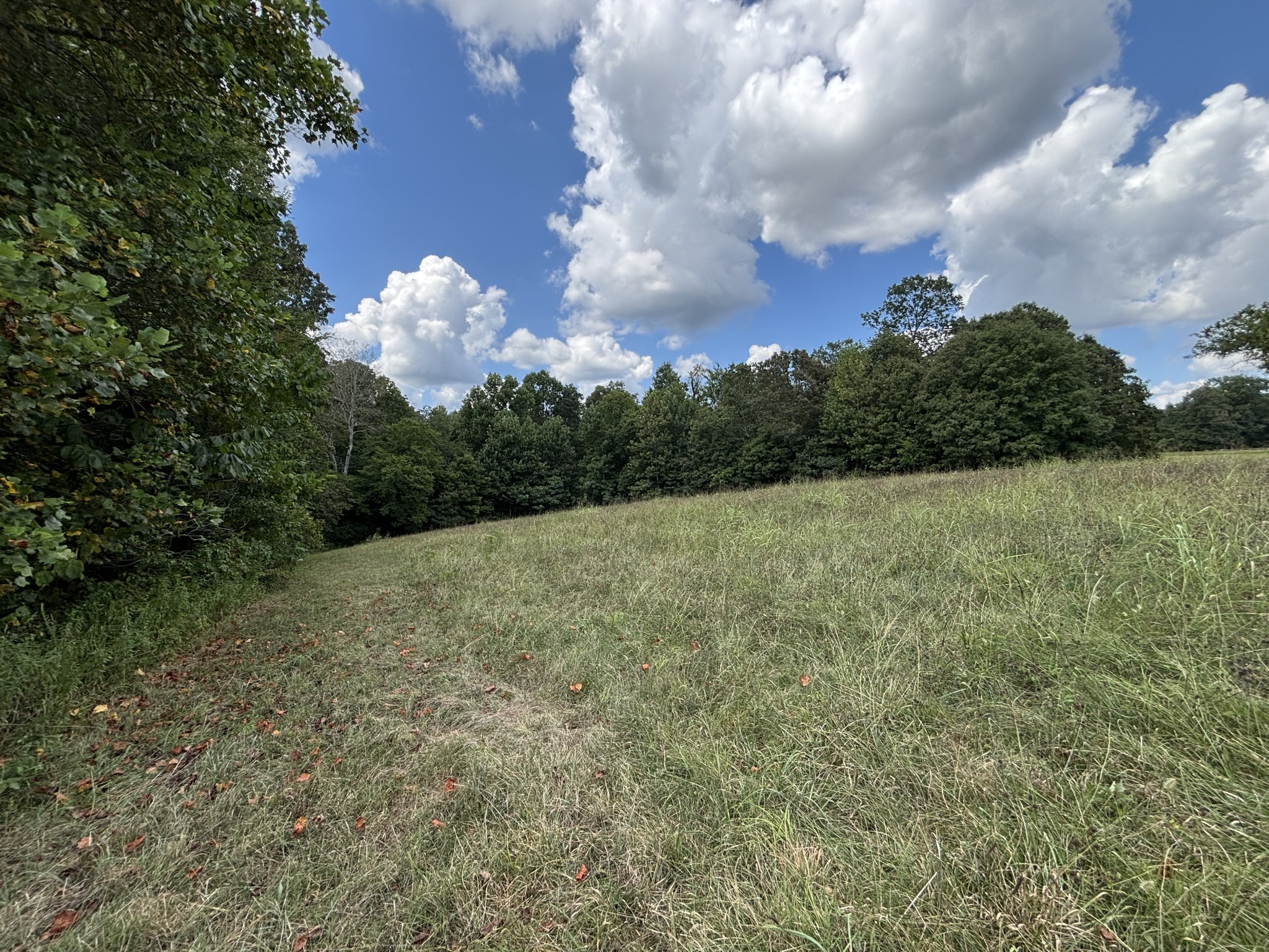 0 Highway 7 Lot 25 Lyles TN 37098