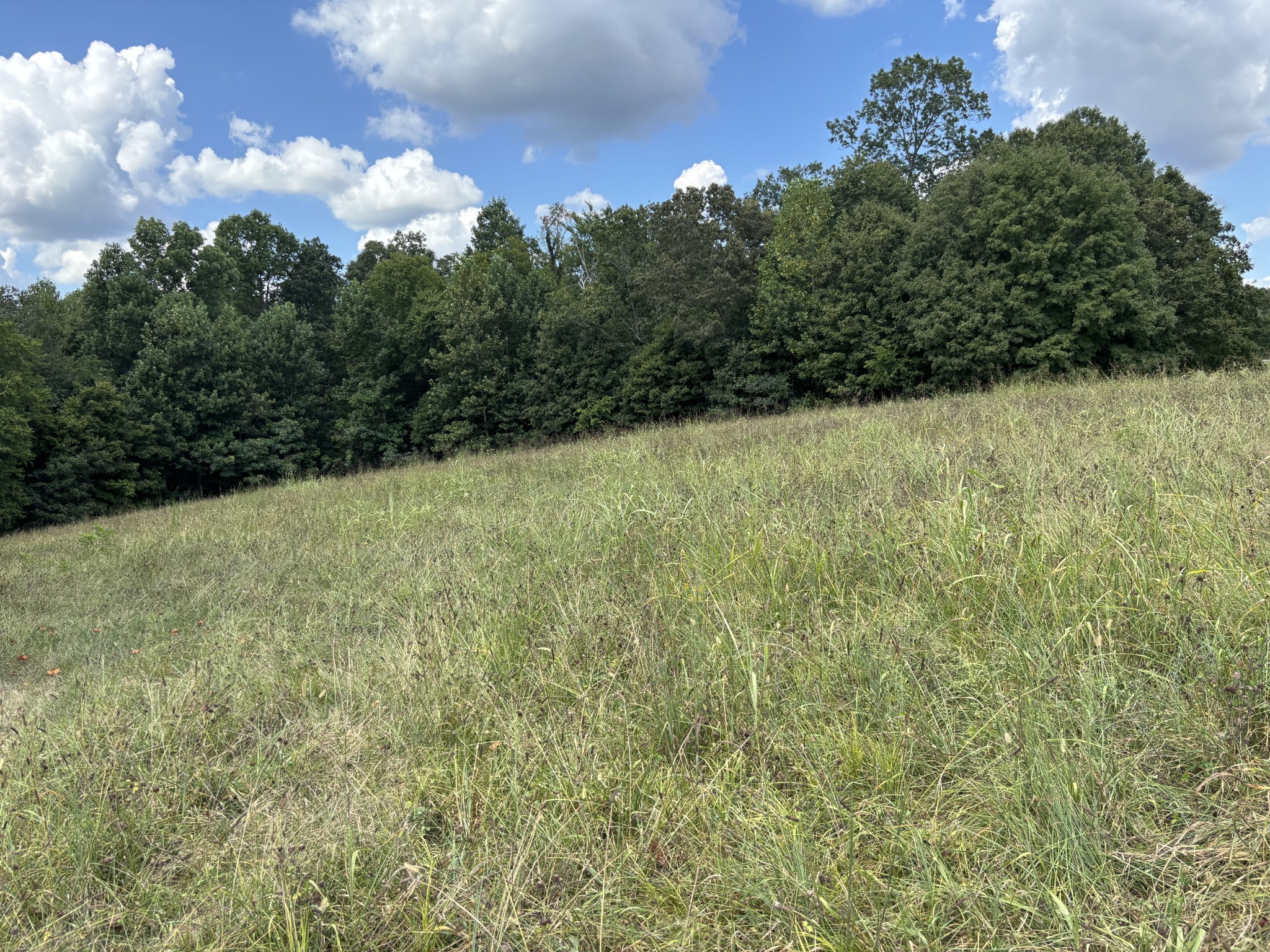 0 Highway 7 Lot 25 Lyles TN 37098