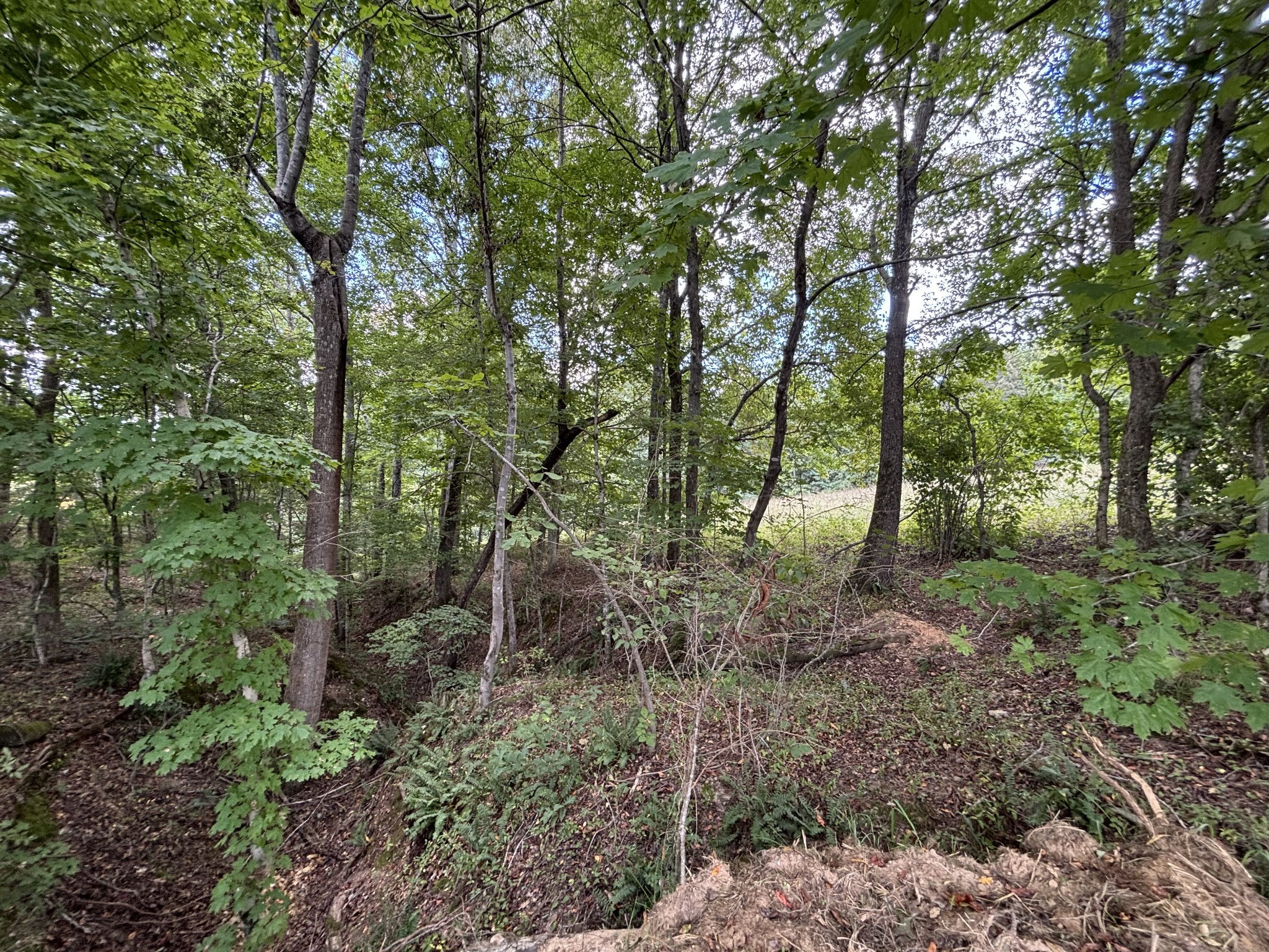 0 Highway 7 Lot 25 Lyles TN 37098