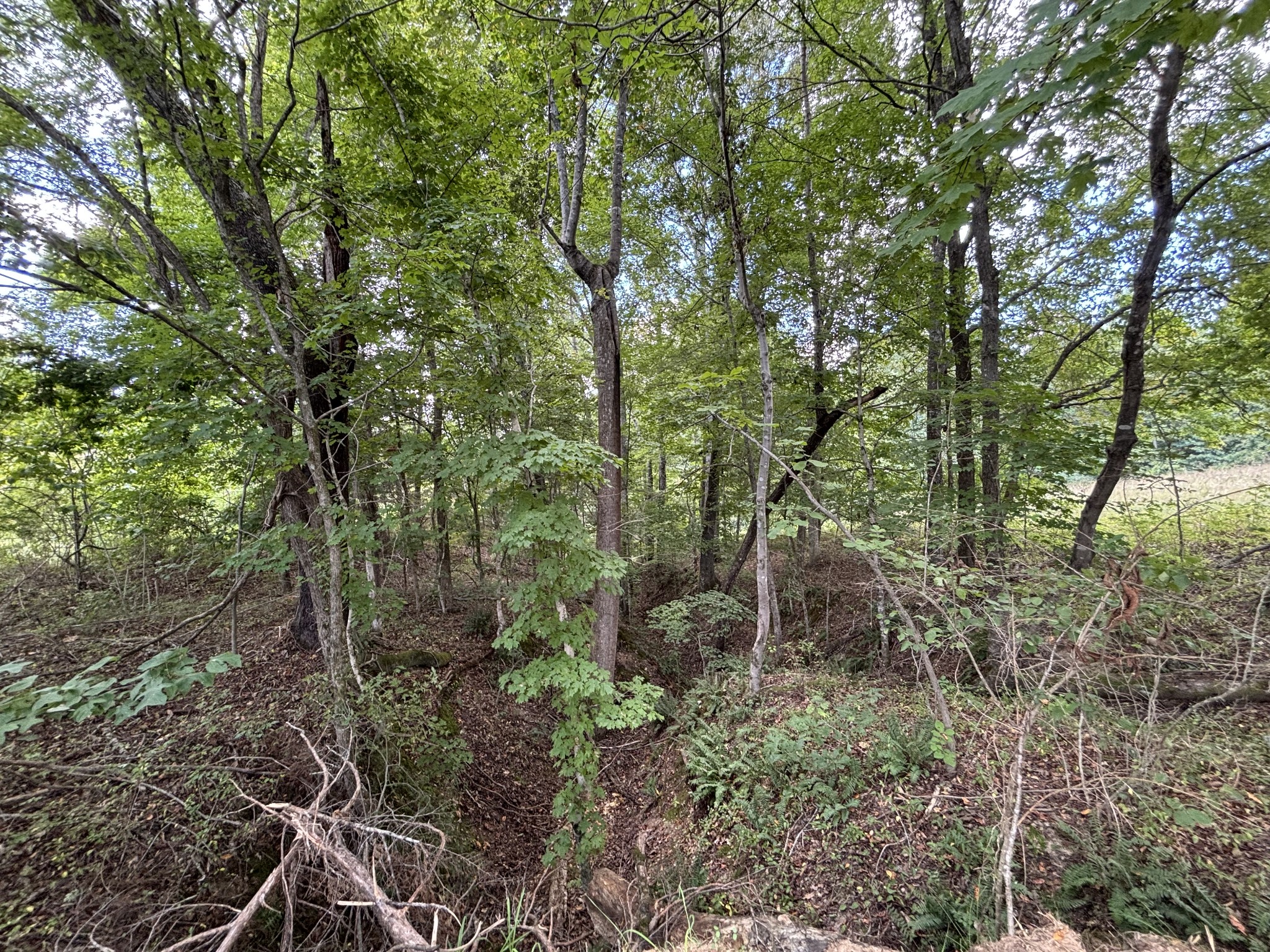 0 Highway 7 Lot 25 Lyles TN 37098