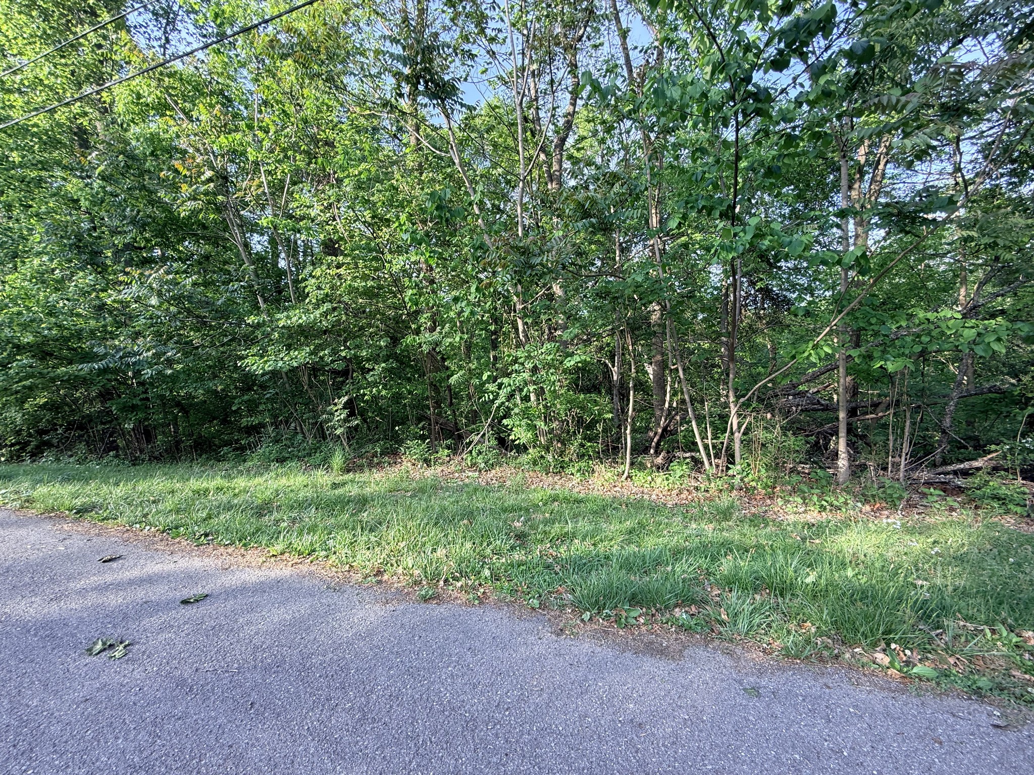 0 Wildwood Street White House TN 37188